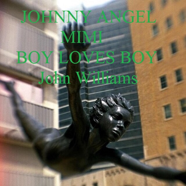 Book cover for Johnny Angel Mimi Boy Loves Boy