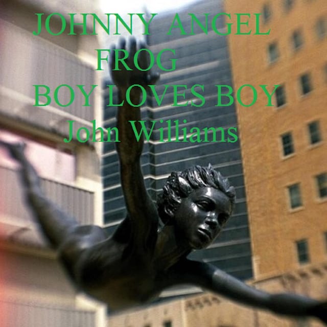 Book cover for Johnny Angel Frog Boy Loves Boy