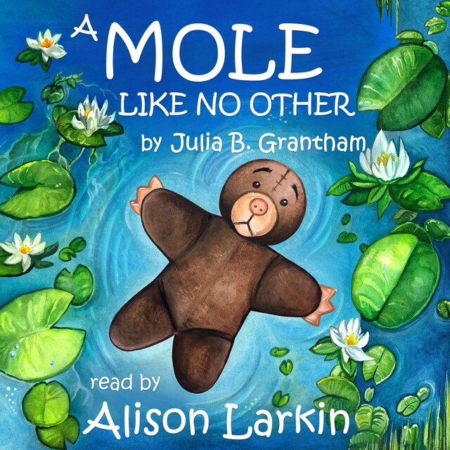 Book cover for A Mole Like No Other