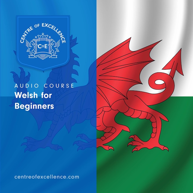 Book cover for Welsh for Beginners