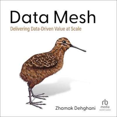 Data Mesh