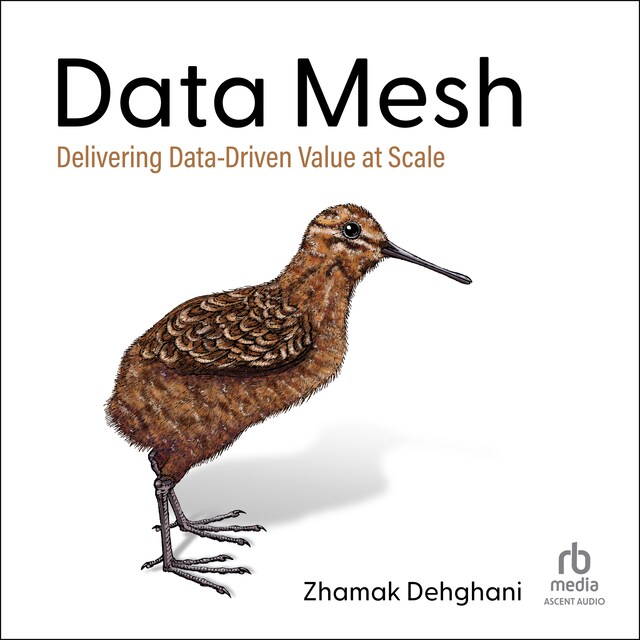 Book cover for Data Mesh
