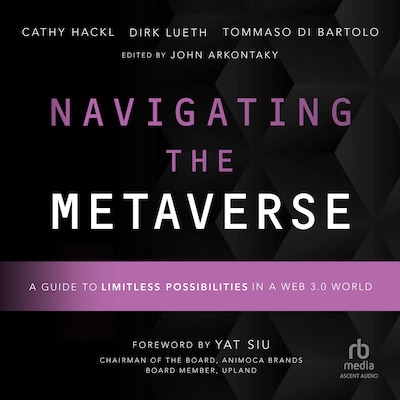 Navigating the Metaverse