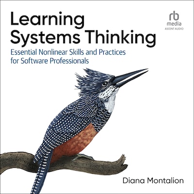 Learning Systems Thinking