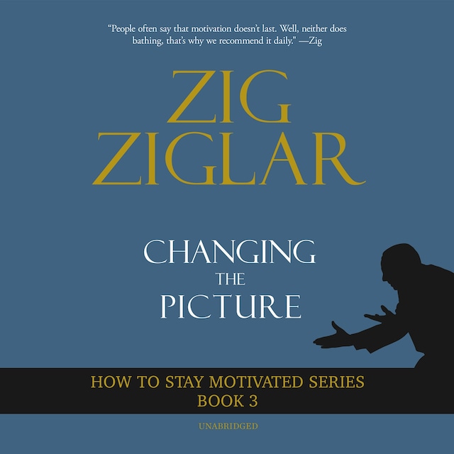 Book cover for Changing The Picture