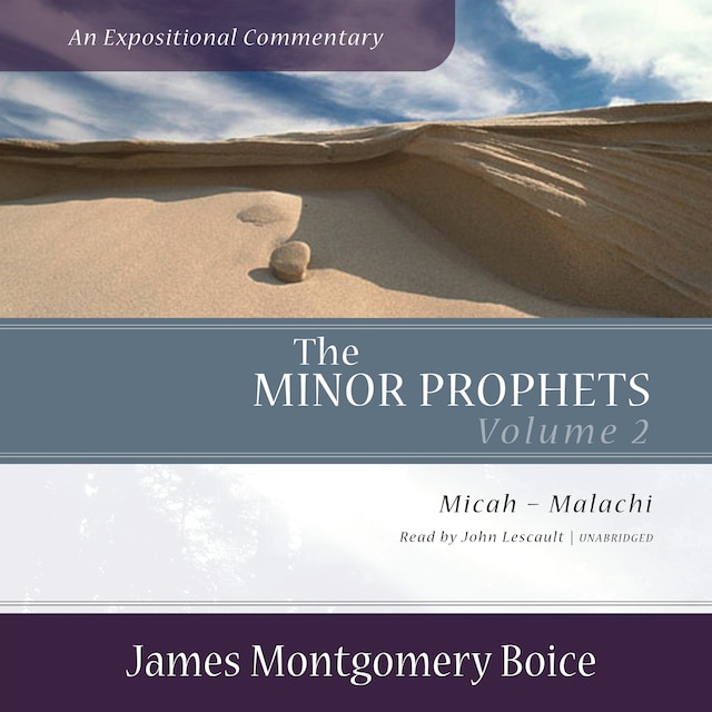 Boekomslag van The Minor Prophets: An Expositional Commentary, Volume 2