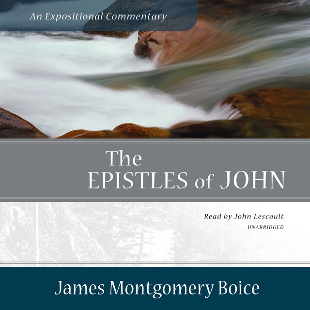 Book cover for The Epistles of John