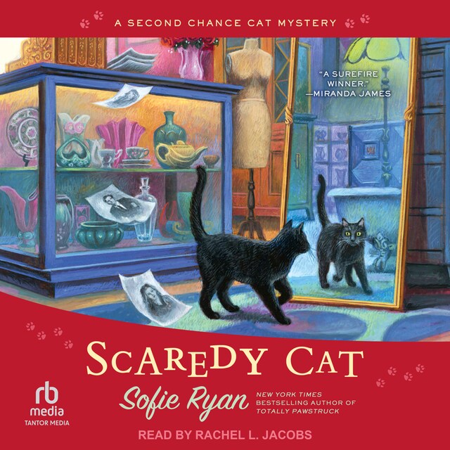 Book cover for Scaredy Cat