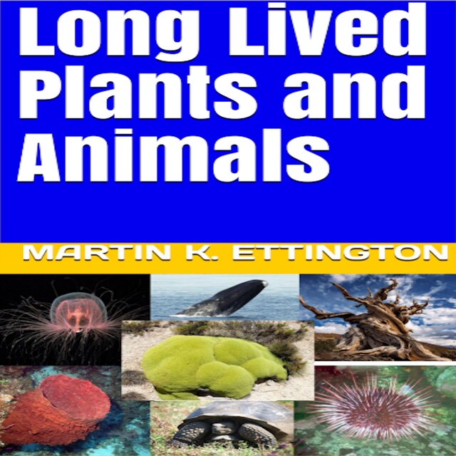 Bogomslag for Long Lived Plants and Animals