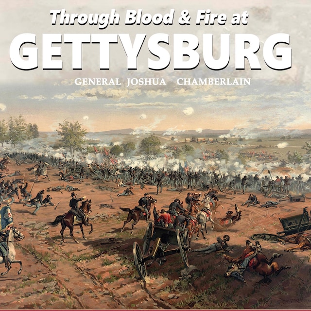 Buchcover für Through Blood and Fire at Gettysburg