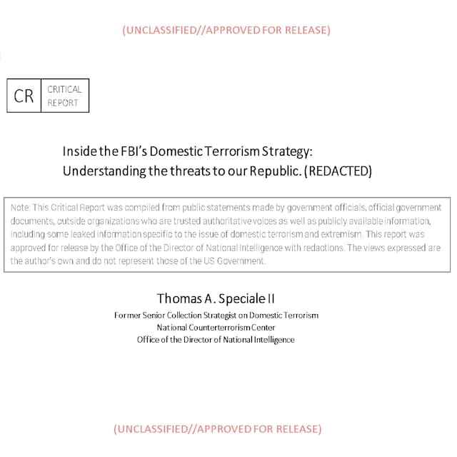 Book cover for Inside the FBI’s Domestic Terrorism Strategy