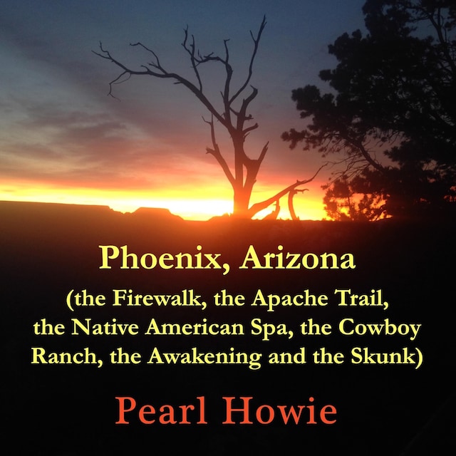 Boekomslag van Phoenix, Arizona (the Firewalk, the Apache Trail, the Native American Spa, the Cowboy Ranch, the Awakening and the Skunk)