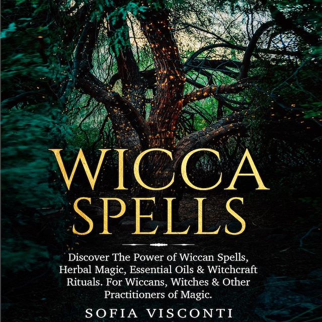 Book cover for Wicca Spells
