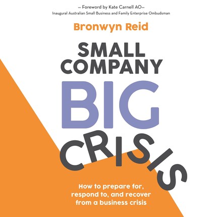 Small Company Big Crisis bookCoverFor