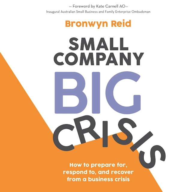 Buchcover für Small Company Big Crisis