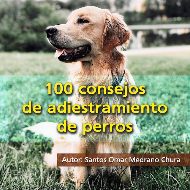 Book cover for 100 consejos de adiestramiento de perros