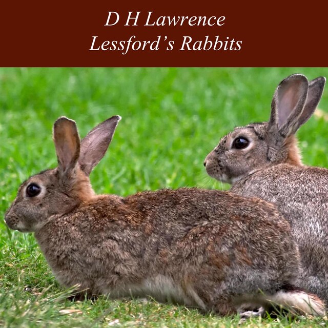 Bogomslag for Lessford's Rabbits