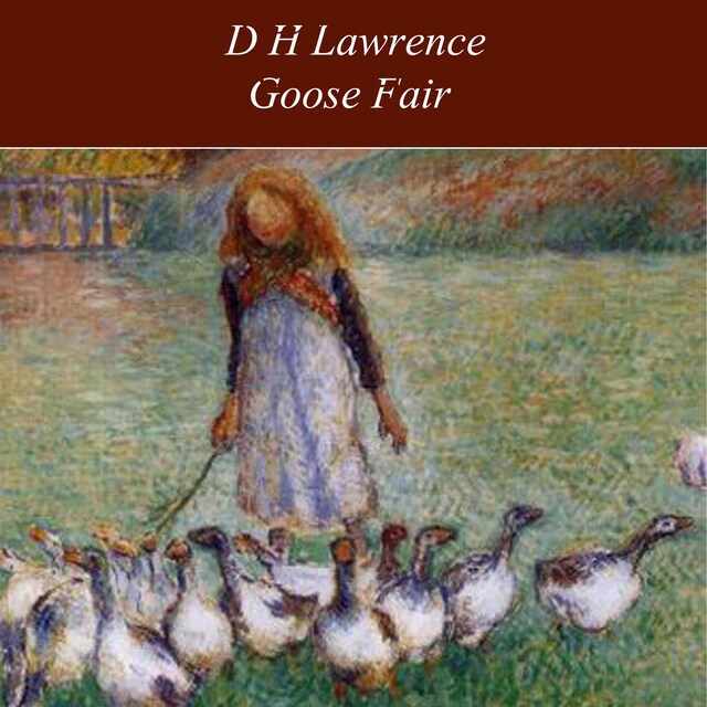 Buchcover für Goose Fair