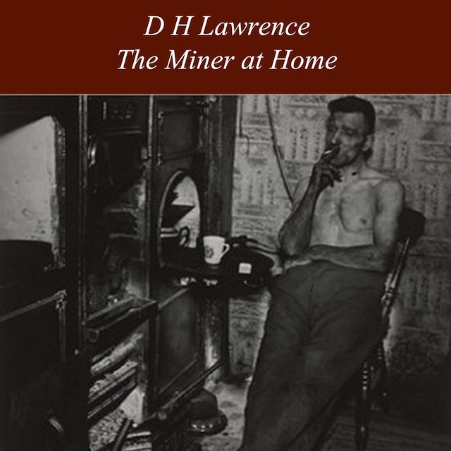 Buchcover für The Miner at Home