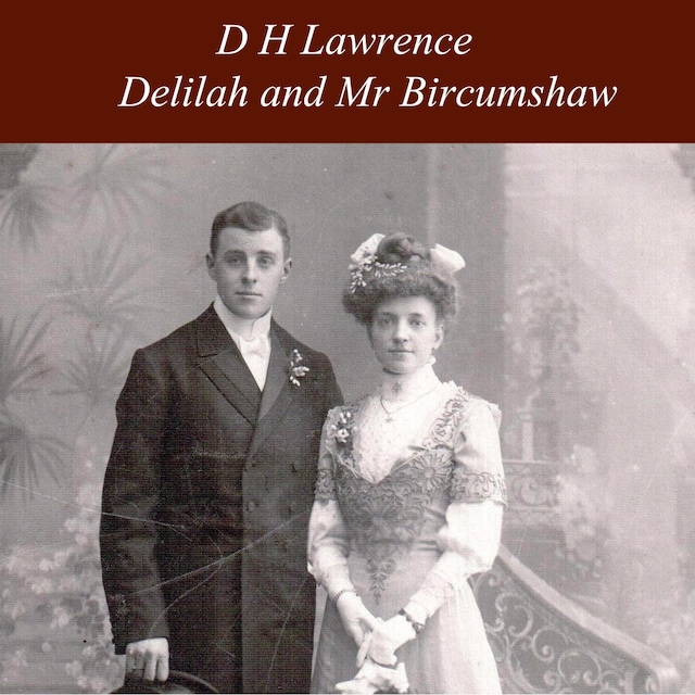Book cover for Delilah and Mr Bircumshaw