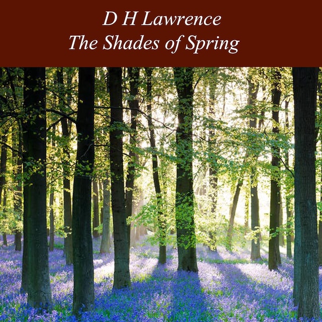 Book cover for The Shades of Spring