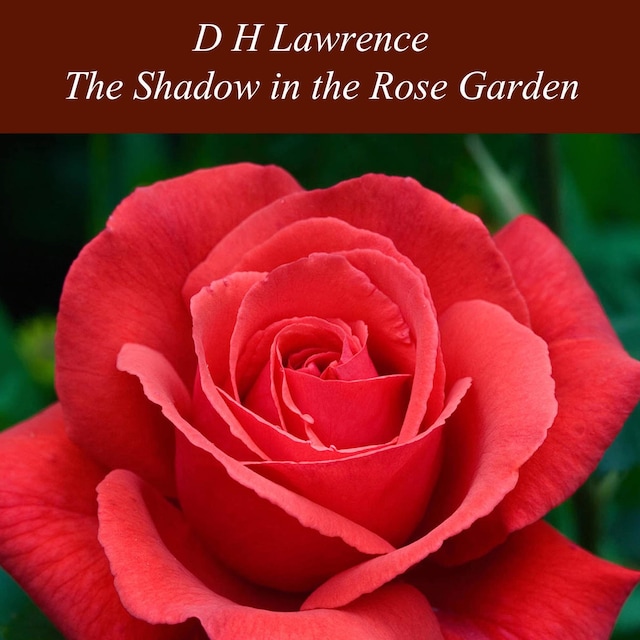 Book cover for The Shadow in the Rose Garden