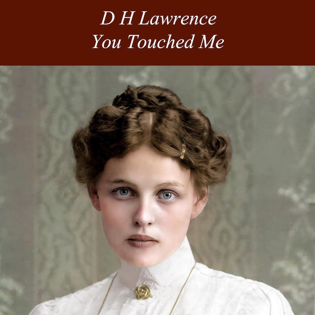 Book cover for You Touched Me