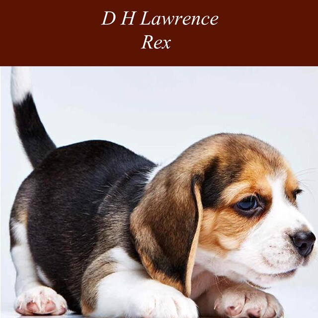 Book cover for Rex