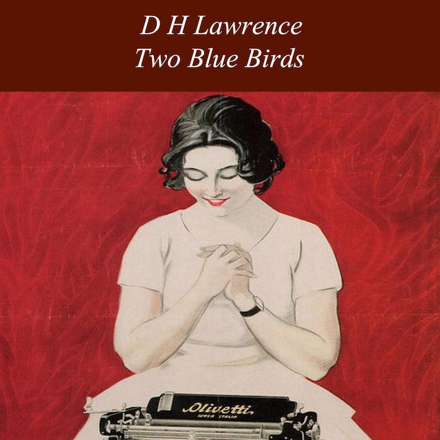 Book cover for Two Blue Birds