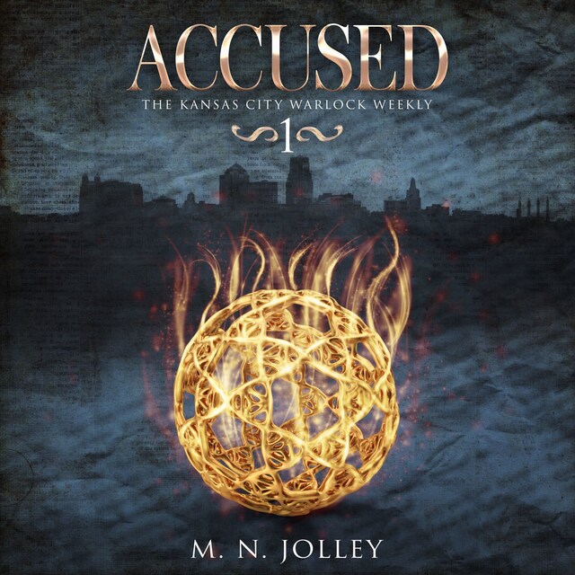 Book cover for Accused