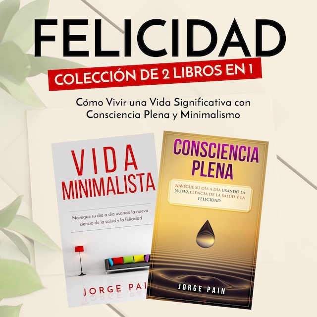 Book cover for Felicidad. Colección de 2 libros en 1: Cómo Vivir una Vida Significativa con Consciencia Plena y Minimalismo