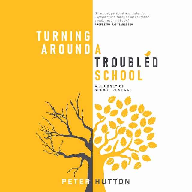 Book cover for Turning Around a Troubled School
