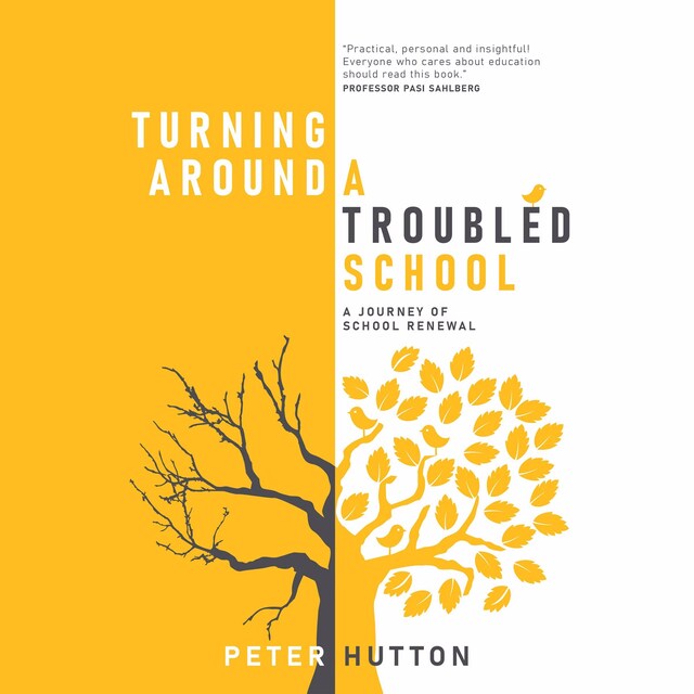 Copertina del libro per Turning Around a Troubled School