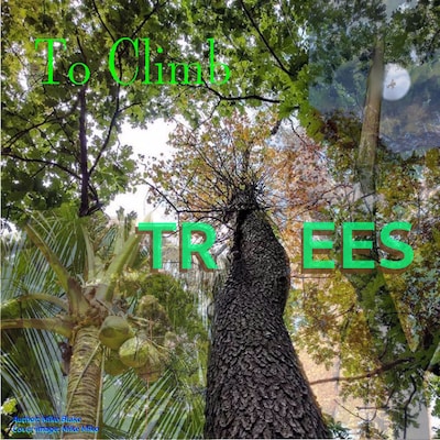 To Climb Trees