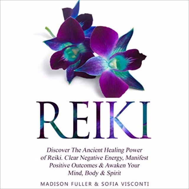 Book cover for Reiki