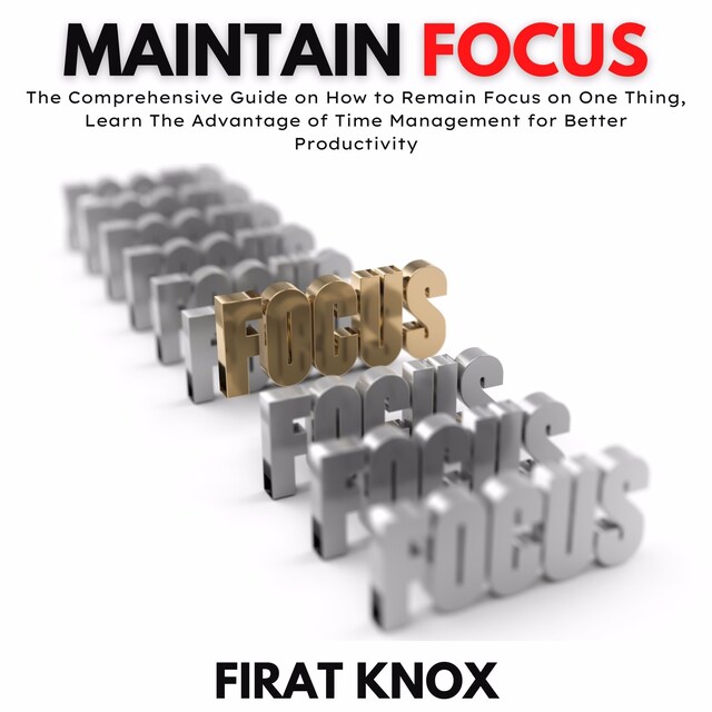 Copertina del libro per Maintain Focus