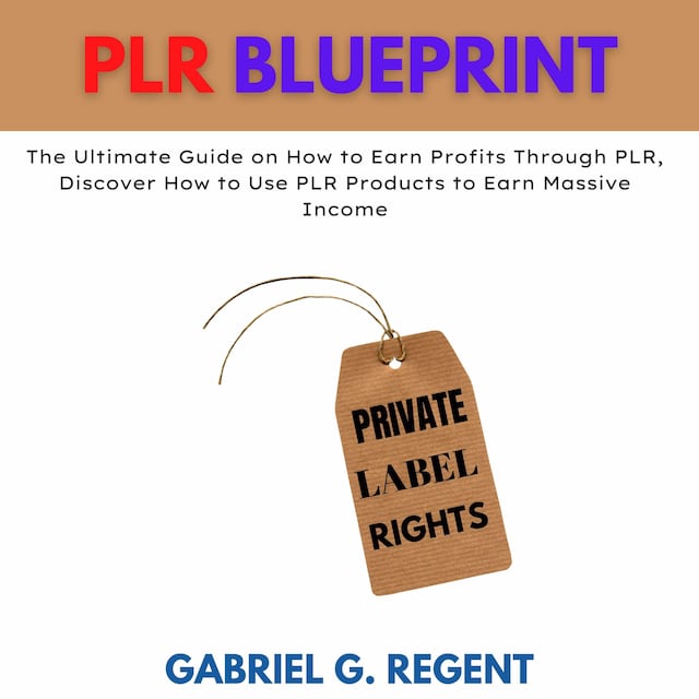 Copertina del libro per PLR Blueprint