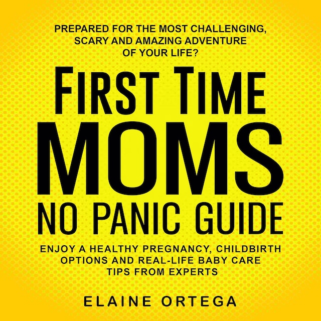 Okładka książki dla First Time Mom No Panic Guide
