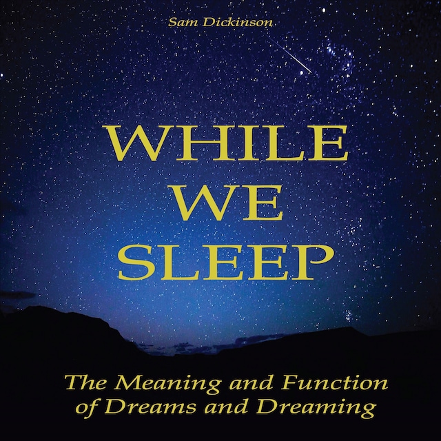 Copertina del libro per While we Sleep