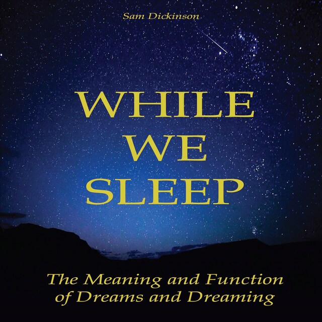 Book cover for While we Sleep