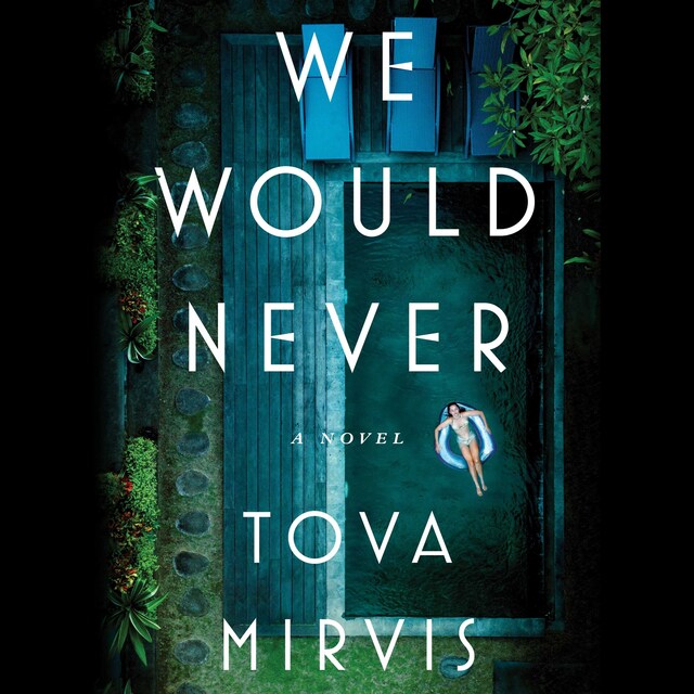 Book cover for We Would Never