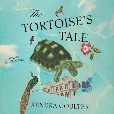 The Tortoise's Tale