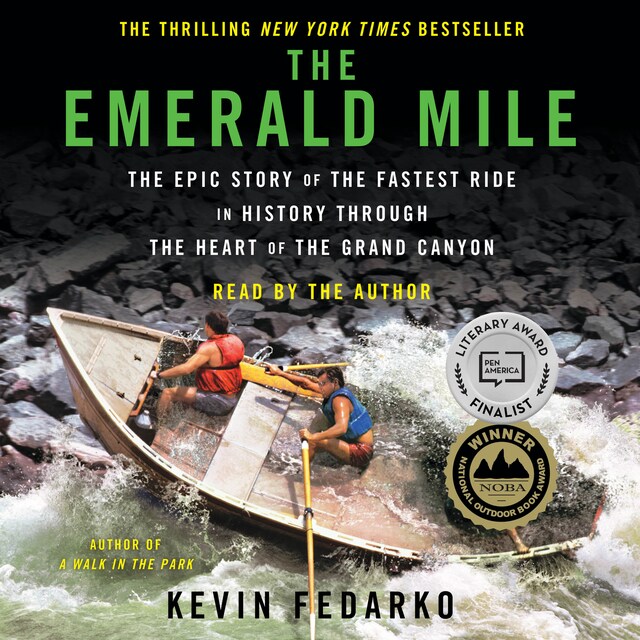 Couverture de livre pour The Emerald Mile