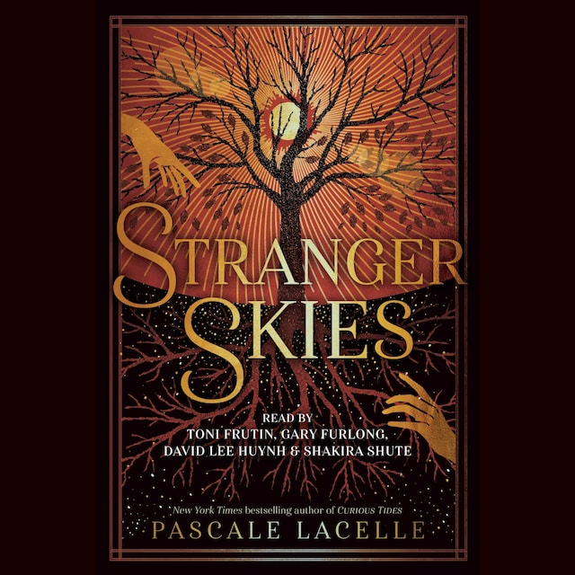 Couverture de livre pour Stranger Skies