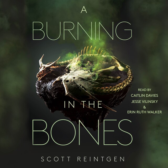 Book cover for A Burning in the Bones