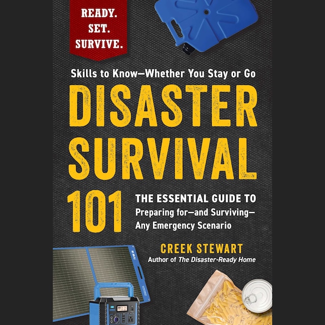 Buchcover für Disaster Survival 101