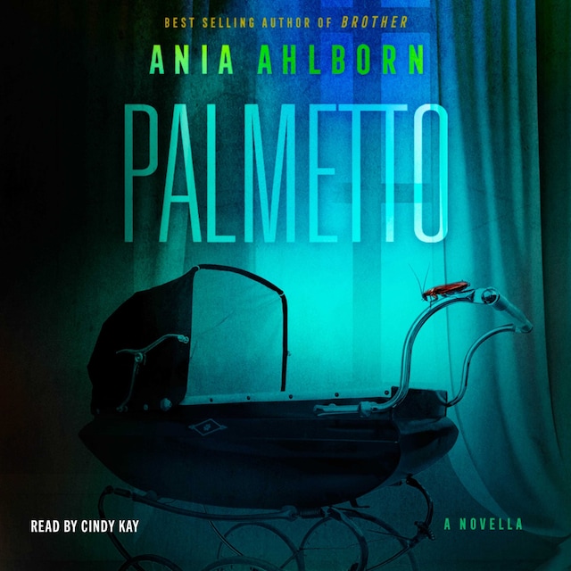 Book cover for Palmetto