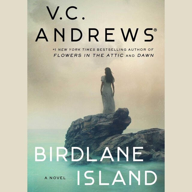 Book cover for Birdlane Island