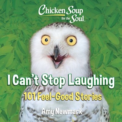 Chicken Soup for the Soul: I Can't Stop Laughing
