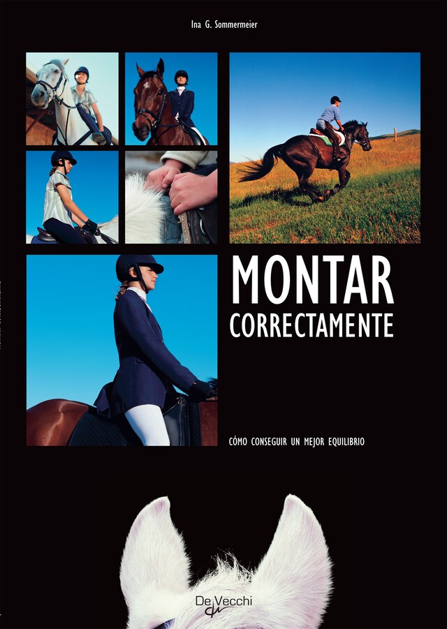 Buchcover für Montar correctamente